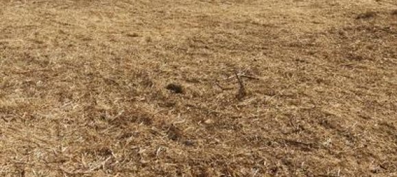 Terreno em Granada, Spain 538 m² N.º 136566 2