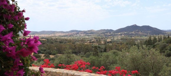 8 rooms Villa in Sardinia, Italy No. 246105 7