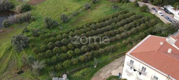 Terreno em São Bartolomeu de Messines, Portugal 3489 m² N.º 79303 11