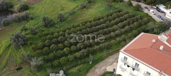 Terreno em São Bartolomeu de Messines, Portugal 3489 m² N.º 79303 9