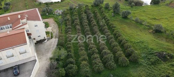 Terreno em São Bartolomeu de Messines, Portugal 3489 m² N.º 79303 12