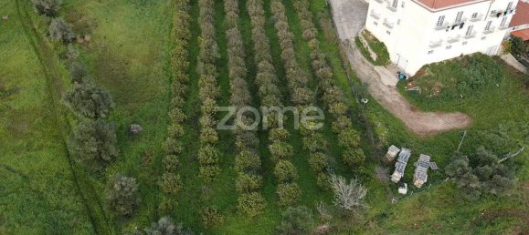 Terreno em São Bartolomeu de Messines, Portugal 3489 m² N.º 79303 6