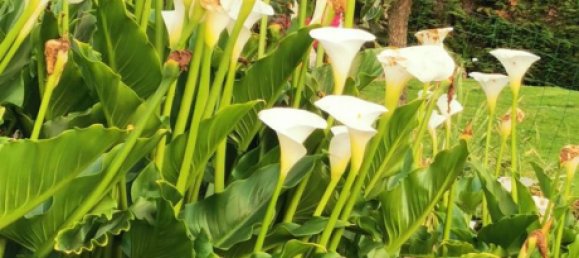 Casa de 3 dormitorios en Langreo, Spain No. 161456 11