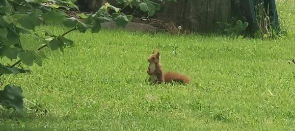 Casa de 3 dormitorios en Langreo, Spain No. 161456 34