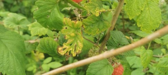 Casa de 3 dormitorios en Langreo, Spain No. 161456 12