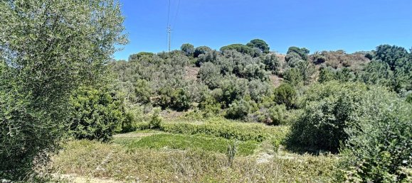 7 bedrooms House in Sesimbra, Portugal No. 138222 39