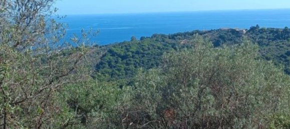 2 bedrooms Apartment in Casal Velino, Italy No. 323303 14