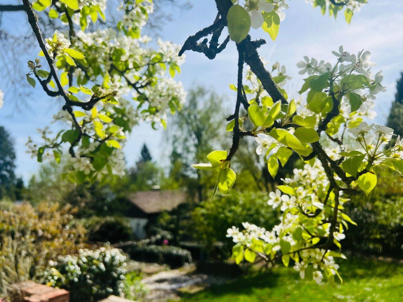 Casa de 5 divisões em Roth, Germany N.º 297057