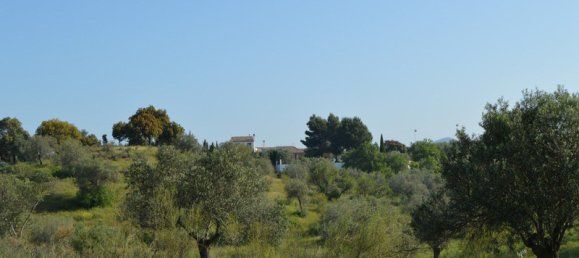 5 bedrooms House in Alora, Spain No. 72268 23