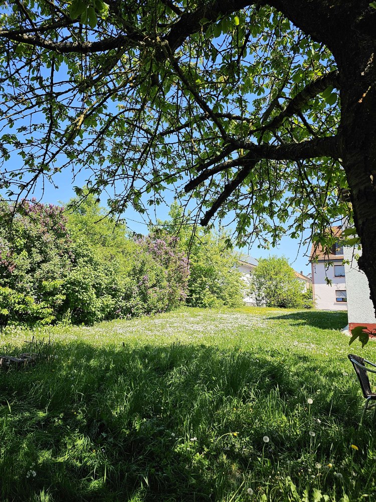  قطعة أرض في Wetteraukreis, Germany رقم 263478