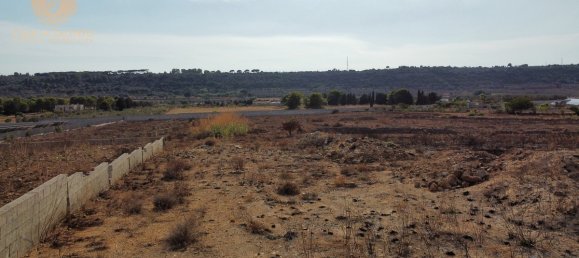 2 chambres Terrain à Alessano, Italy No. 319633 21