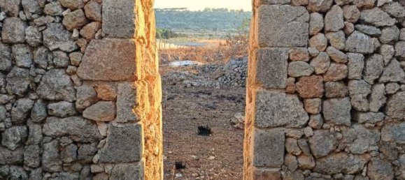 2 chambres Terrain à Alessano, Italy No. 319633 7