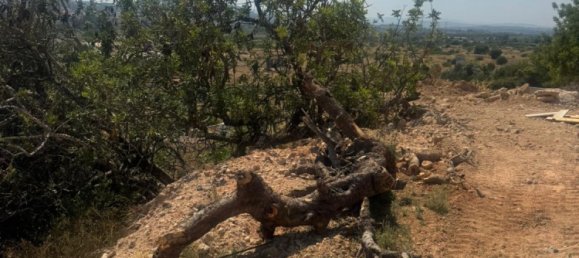 terreno en venta en Riba-roja de Túria, València, Comunidad Valenciana, Spain № 368923 14
