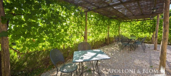 6 bedrooms Villa in Sinalunga, Italy No. 338256 22