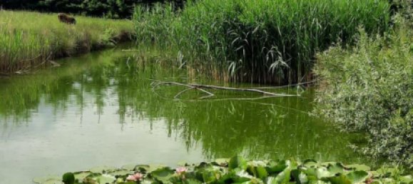 Granja de 4 dormitorios en Sigmaringen, Germany No. 262917 7