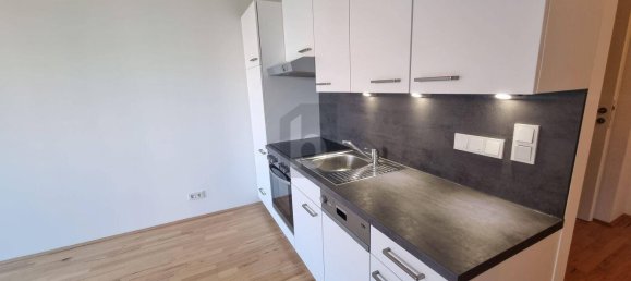 2 rooms Apartment in Vienna, Austria No. 246784 2