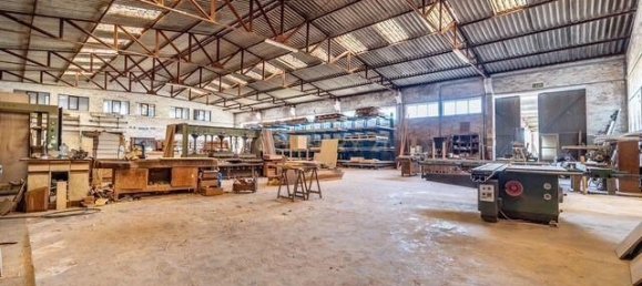 Lagerhaus in Sao Bartolomeu de Messines, Portugal 1193m², Nr. 245397 6