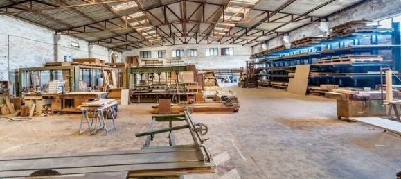 Lagerhaus in Sao Bartolomeu de Messines, Portugal 1193m², Nr. 245397 8