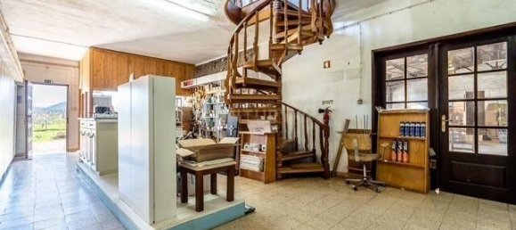 Lagerhaus in Sao Bartolomeu de Messines, Portugal 1193m², Nr. 245397 4