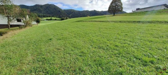  قطعة أرض في Krieglach, Austria رقم 248654 4