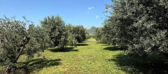 7-salle Villa à Cori, Italy No. 303834 32