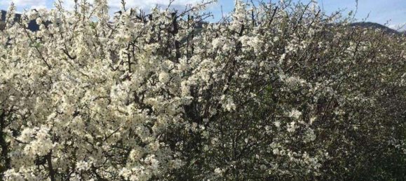 14غرفة منزل في Gualdo Tadino, Italy رقم 69443 49