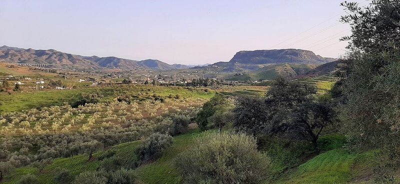 29166m² Land in Alora, Spain No. 222682