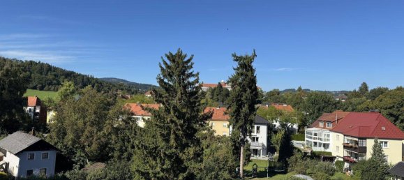 3 rooms Apartment in Linz, Austria No. 240297 4