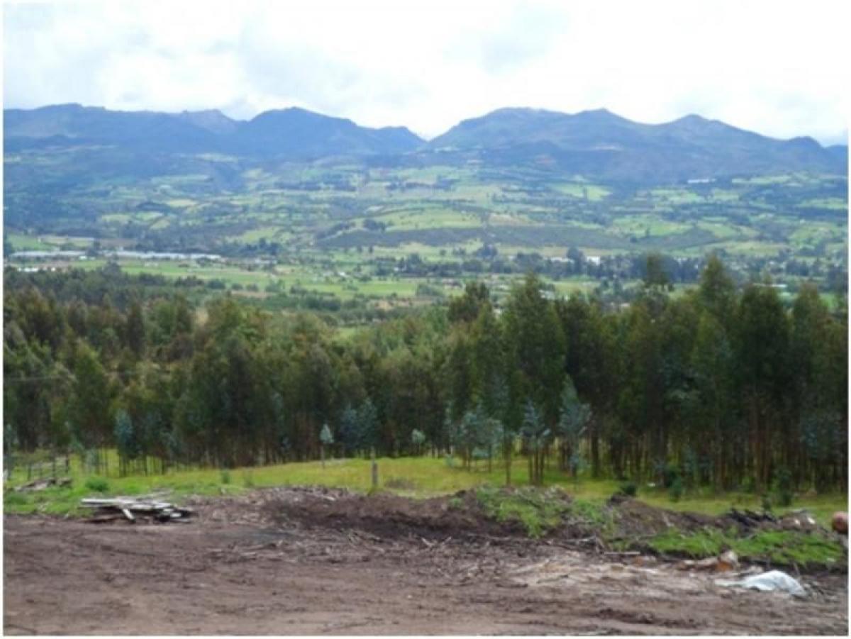 Estudio en Cundinamarca, Colombia No. 1758