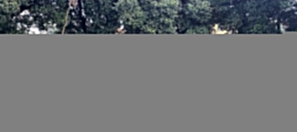 Casa de 5 dormitorios en Sao Felix da Marinha, Portugal No. 107582 20