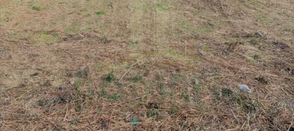 Land in Caminha, Portugal No. 56198 4