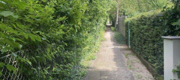 Land in Hietzing, Austria No. 145836 4