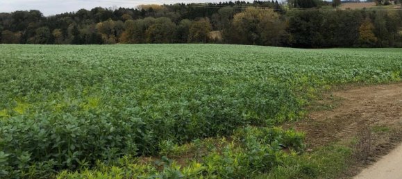 قطعة أرض في Wallsee-Sindelburg, Austria 747متر مربع رقم 16714 8