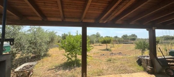 4 غرف نوم فيلا في Trapani, Italy رقم 324383 24