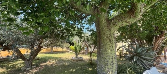 4 غرف نوم فيلا في Trapani, Italy رقم 324383 6