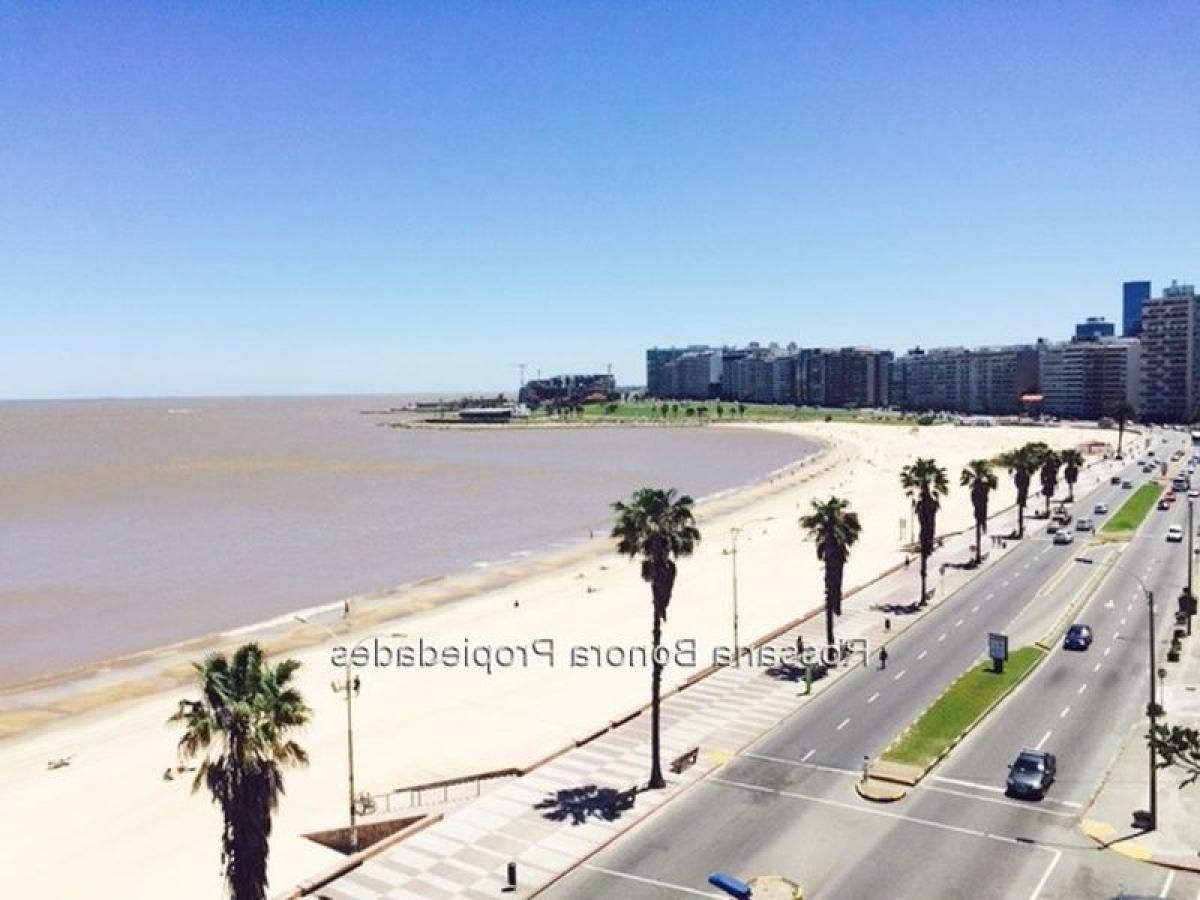 3 غرف نوم شقة في Montevideo, Uruguay رقم 12029