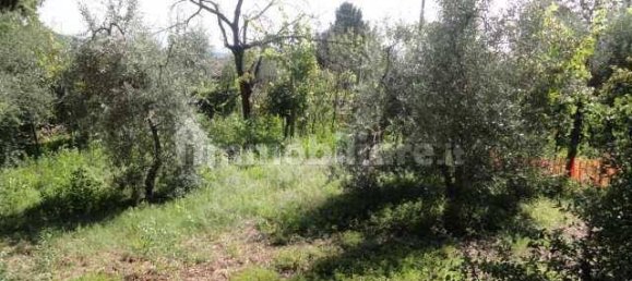 Casa de 5 divisões em San Gimignano, Italy N.º 195471 11