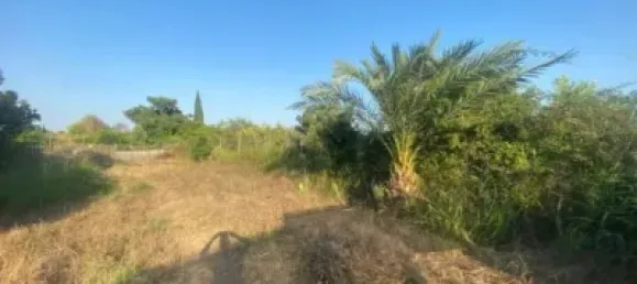 Земельный участок 1000м² в Мурсия, Испания № 144356 6