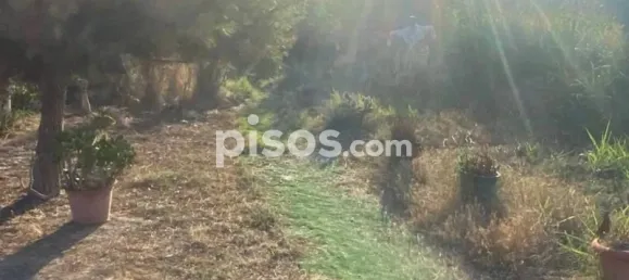 Земельный участок 1000м² в Мурсия, Испания № 144356 5