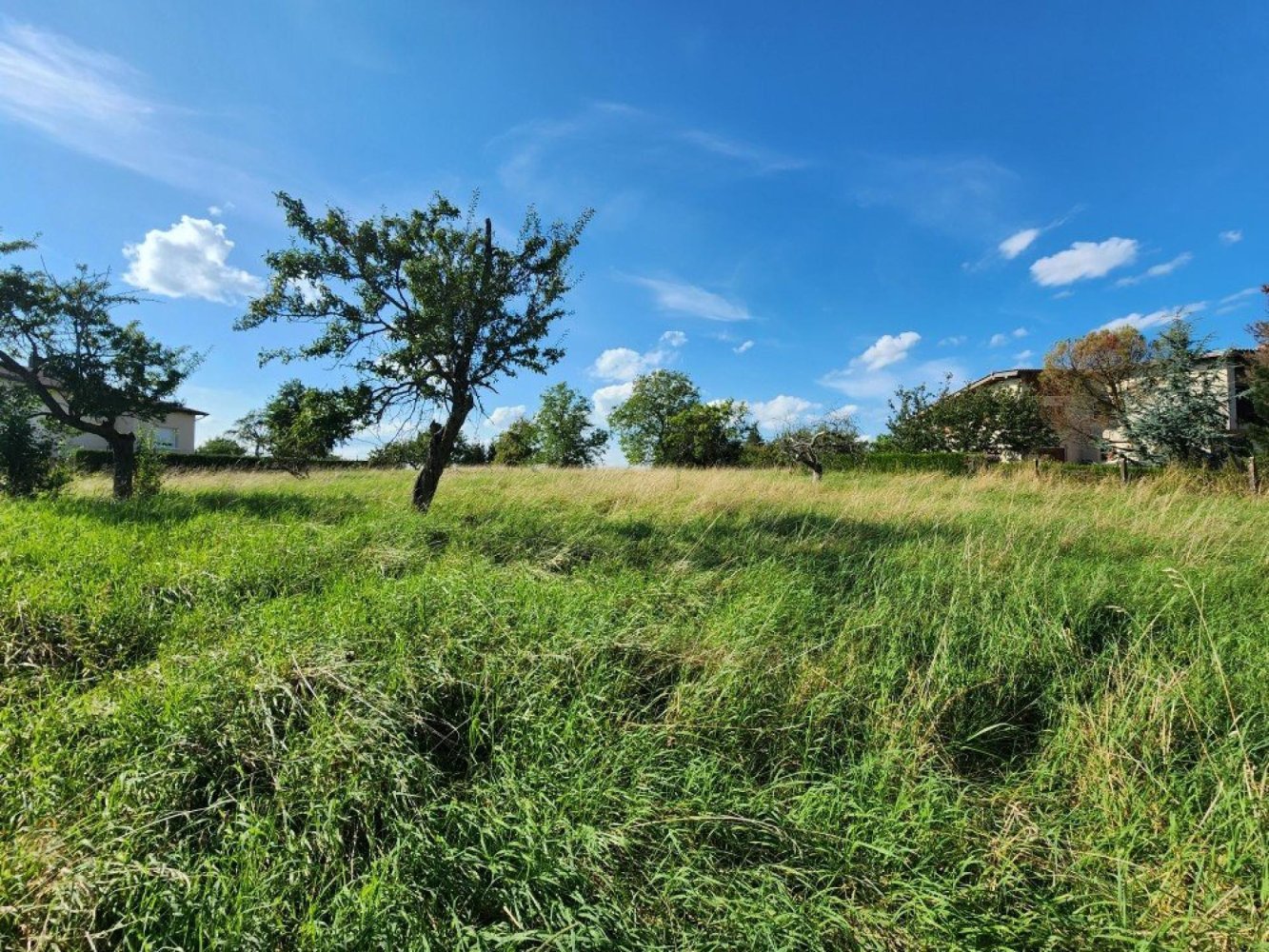 2893m² Land in Moselle, France No. 258487