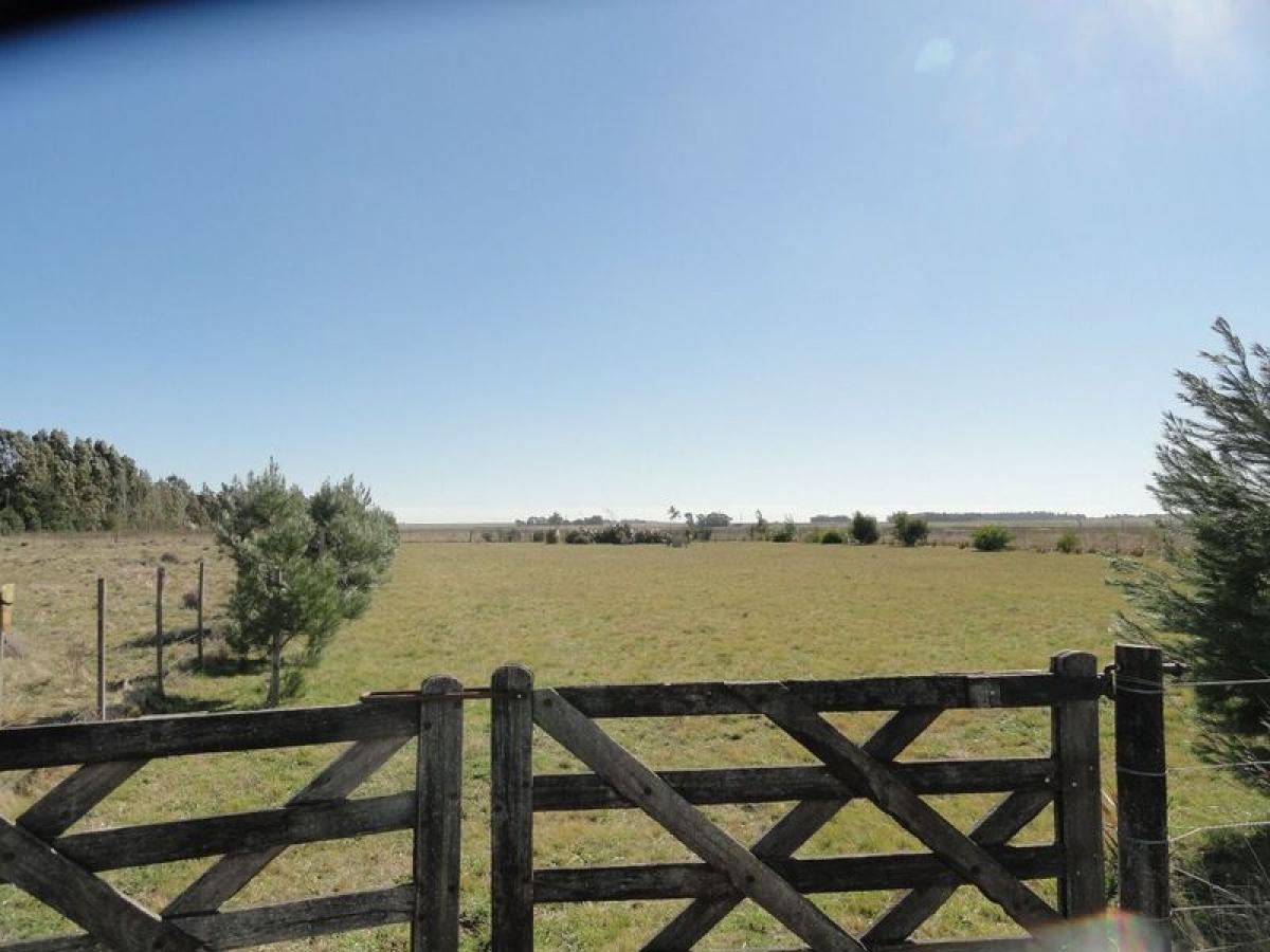  Land in Buenos Aires, Argentina No. 111285