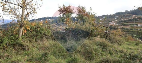 Terreno en Sao Cristovao de Nogueira, Portugal 2050 m² No. 56246 4