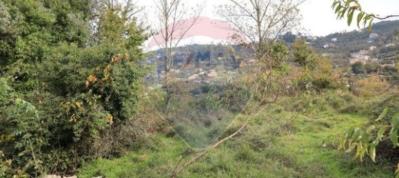 Terreno en Sao Cristovao de Nogueira, Portugal 2050 m² No. 56246 10