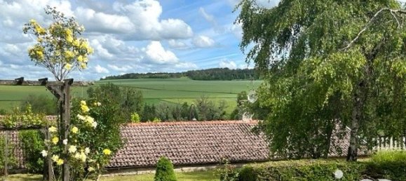 5 Schlafzimmer Stadthaus in Laferte-sur-Aube, France, Nr. 43144 9