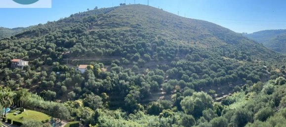 20 rooms Villa in Imperia, Italy No. 298999 32