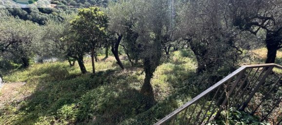 20 rooms Villa in Imperia, Italy No. 298999 28