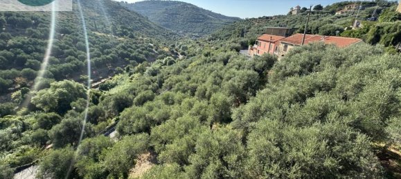 20 rooms Villa in Imperia, Italy No. 298999 35