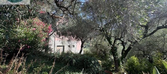 20 rooms Villa in Imperia, Italy No. 298999 27