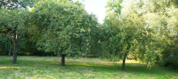 4 غرف نوم تاون هاوس في Cuxhaven, Germany رقم 142523 9