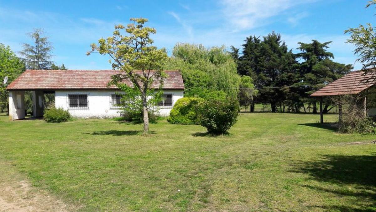 8 bedrooms House in Buenos Aires, Argentina No. 102634